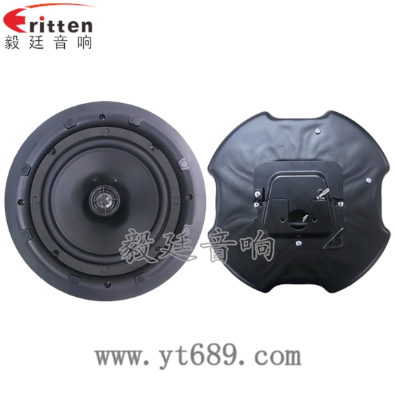 8''250w 重低音喇叭正反面