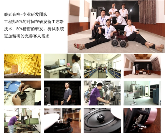 8寸天花吸頂揚聲器研發團隊