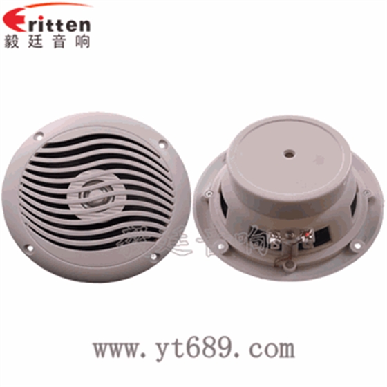 &ldquo;納尼&rdquo;毅廷完美喇叭功放！！