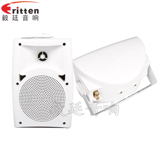 8''中低音舞臺音箱喇叭廠家正反面