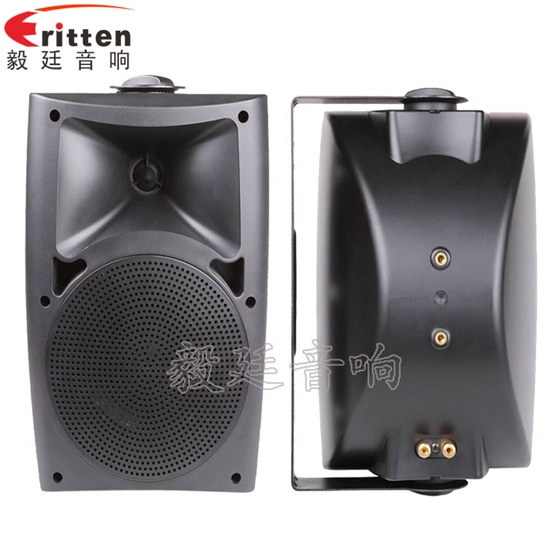 8''中低音舞臺音箱喇叭廠家正反面