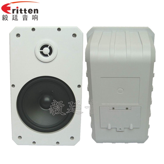 8''中低音舞臺音箱喇叭廠家正反面