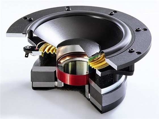 MY喇叭和NL揚聲器 MY喇叭和NL揚聲器