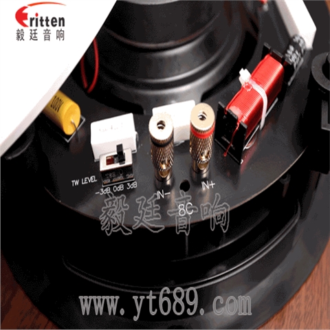 8寸天花吸頂喇叭