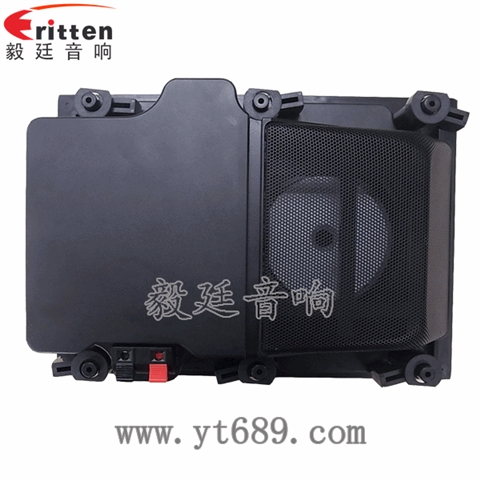 5.25寸墻壁喇叭廠家