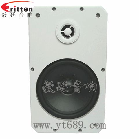 10寸20芯專業音箱喇叭