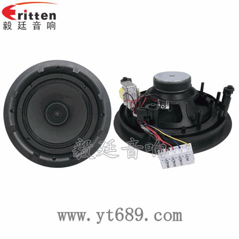 8寸25芯全頻喇叭 8寸25芯全頻喇叭