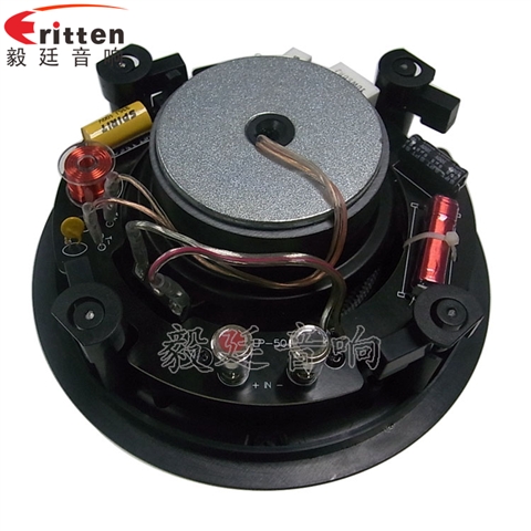 5.25寸天花揚聲器