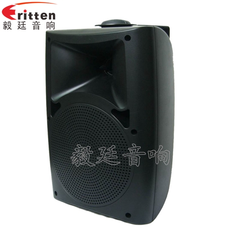 6.5寸墻壁音箱喇叭