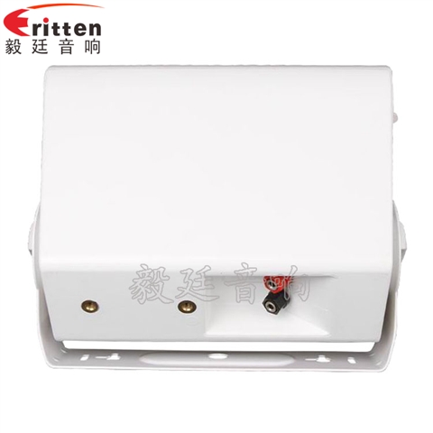 5.25寸掛壁音箱喇叭