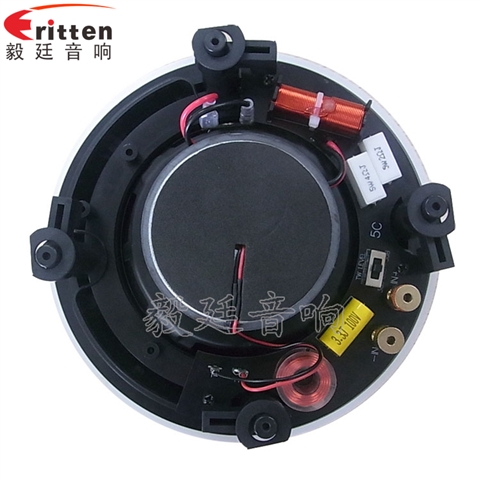 5.25寸天花吸頂式喇叭