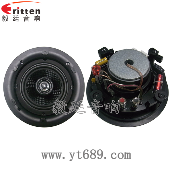 5.25寸天花揚聲器正反面 8''中低音舞臺音箱喇叭廠家正反面