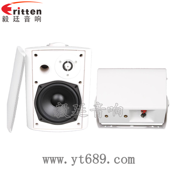 5.25寸2路全頻音箱正反面