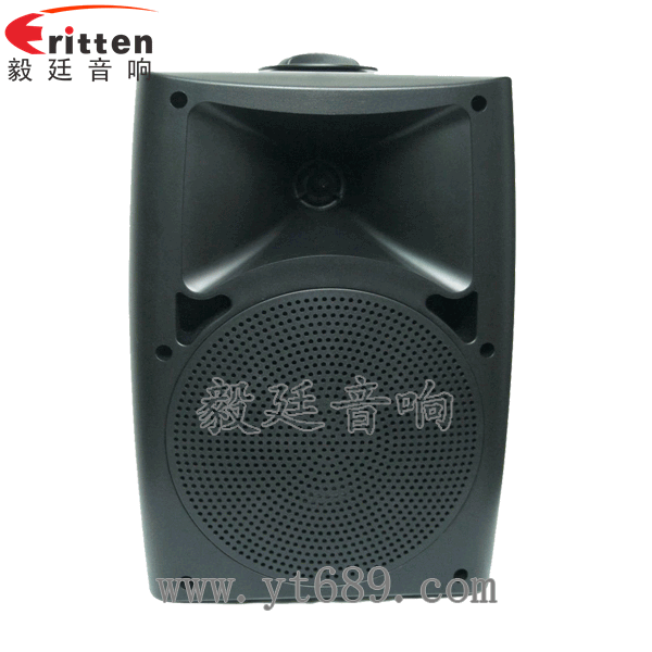 8''中低音舞臺(tái)音箱喇叭廠家正面圖