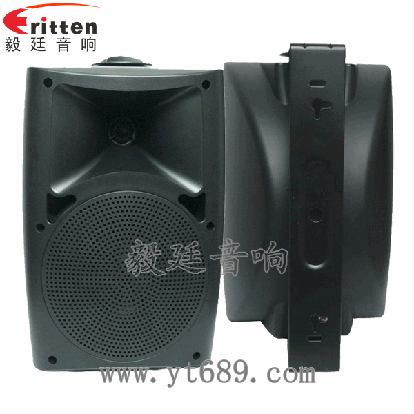 8''中低音舞臺(tái)音箱喇叭廠家正反面