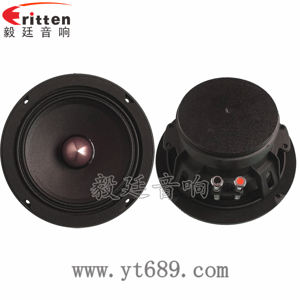 8''中低音舞臺音箱喇叭廠家正反面