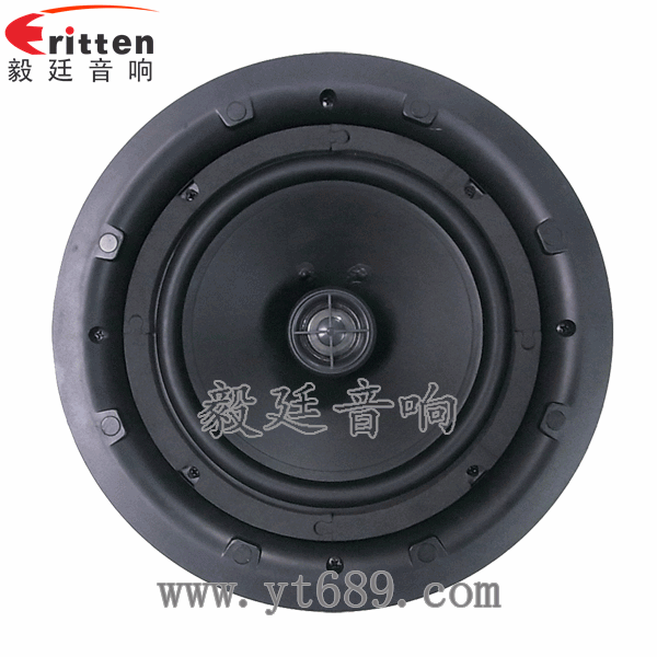 8''250w 重低音喇叭正面圖