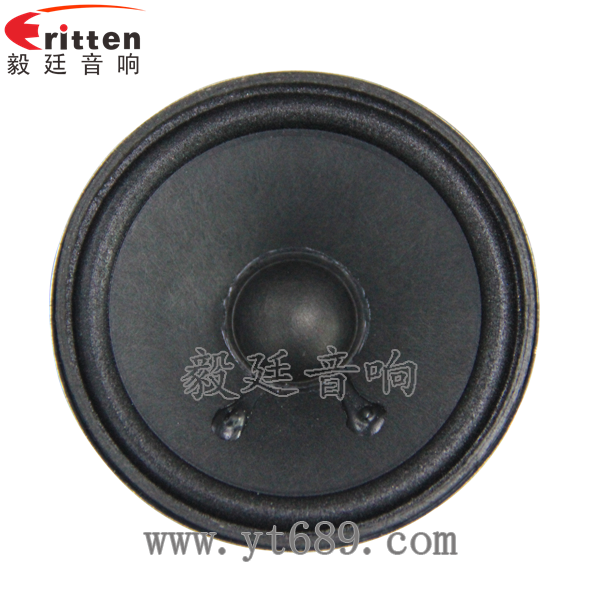 2.5寸4Ω10w喇叭--喇叭廠家正面圖