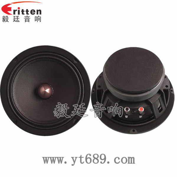 8寸60w汽車改裝喇叭正反面 8''250w 重低音喇叭正反面
