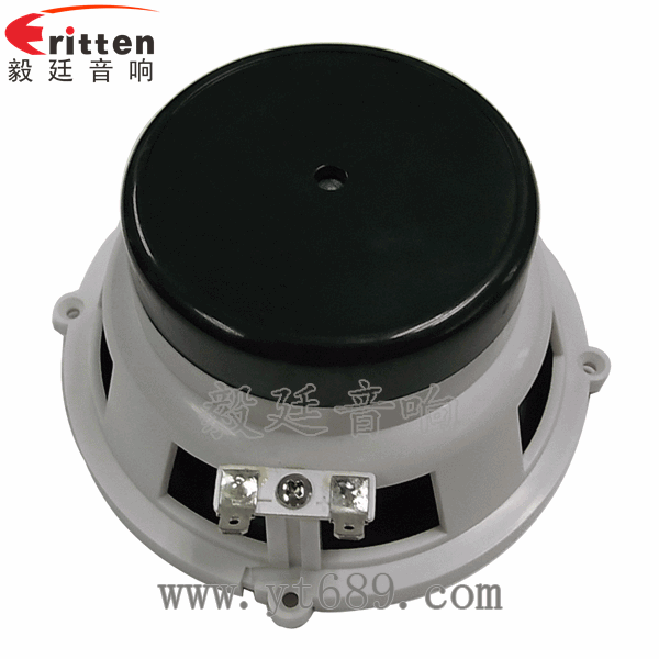 5.25寸汽車音響喇叭廠家正面圖