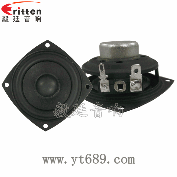 2.5寸20芯10瓦內磁全頻喇叭正反面 2.5寸20芯10瓦內磁全頻喇叭正反面