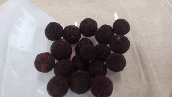 毅廷喇叭廠勇敢邁出第一步就是我們最大勝得 &mdash;牛商爭霸死黨互動學習共成長