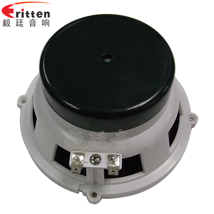 5.25寸汽車音響喇叭廠家正面圖