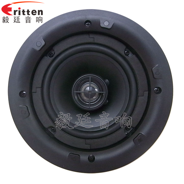 8''250w 重低音喇叭正面圖