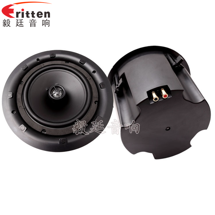 8''250w 重低音喇叭正反面