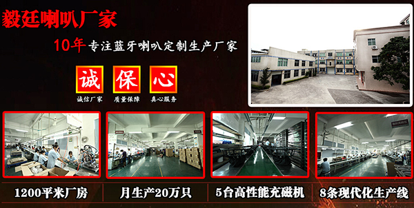 毅廷音響營銷部2016總結大會及2017啟動大會