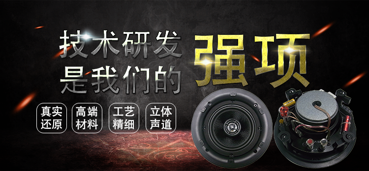 5.25寸天花揚聲