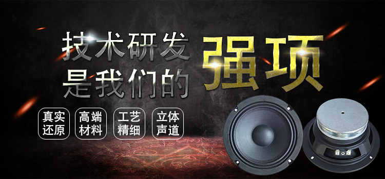 6.5寸中高音舞臺音箱喇叭 6.5寸中高音舞臺音箱喇叭