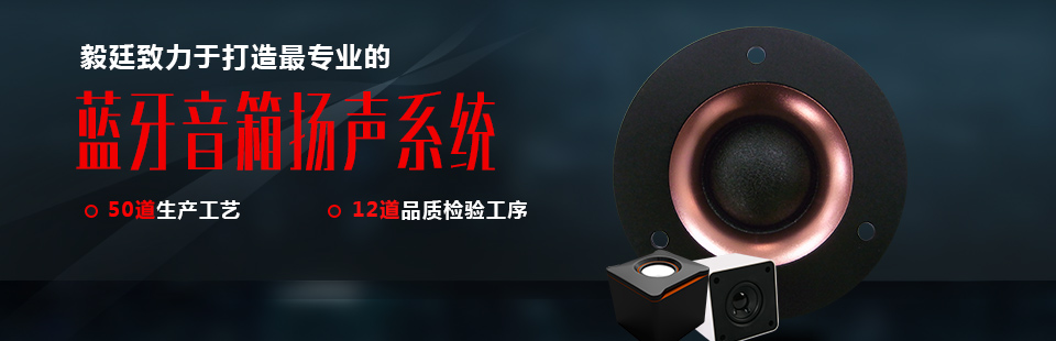 藍(lán)牙音箱喇叭